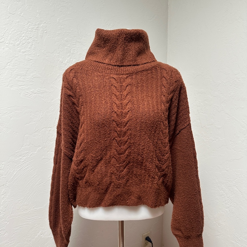 Target Rust Turtleneck Sweater